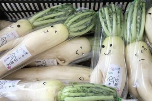 Củ cải trắng xấu xí đã được nông dân Nhật Bản "giải cứu" nhờ bao bì cực thú vị