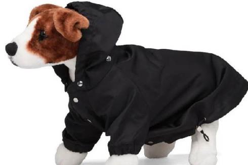 Prada bán áo mưa cho cún cưng với giá 520 USD