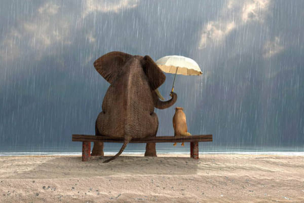 9 điều tồi tệ có thể sẽ xảy ra khi bạn đối xử quá tốt với ai đó