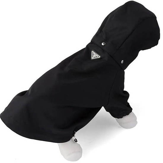 Prada bán áo mưa cho cún cưng với giá 520 USD1